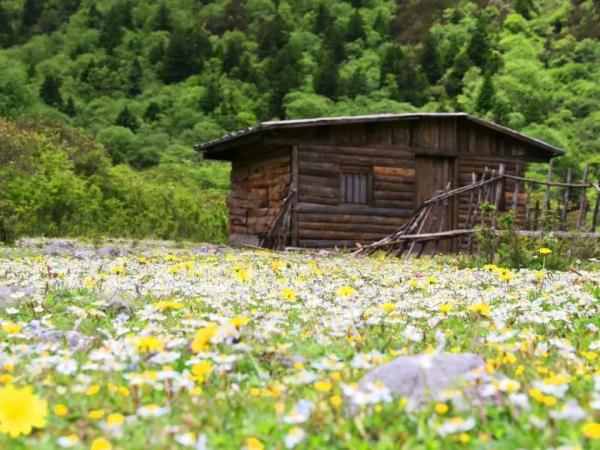 暢享18℃!川西藍色海洋,逃離城市熱浪 暢享18℃!川西藍色海洋,逃離城市熱浪