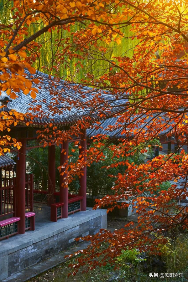 秋天的第一場旅行，你可以去這6個地方。一入秋，他們就變色了…