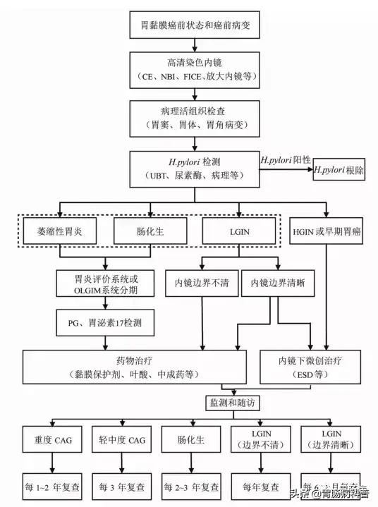 萎縮性胃炎會不會癌變？——要看萎縮、腸化、不典型增生的分級