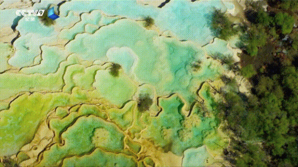 看完這5部國產紀錄片,孩子作文不會發愁了 看完這5部國產紀錄片,孩子作文不會發愁了