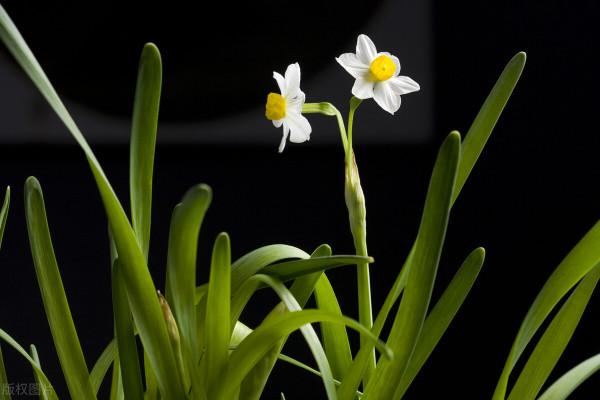 女人三十歲以後的面容,將是你靈魂的樣子 女人三十歲以後的面容,將是你靈魂的樣子