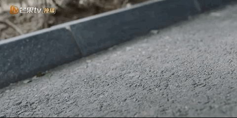 年度備受好評的10部佳作，部部經典，沒有一部值得錯過