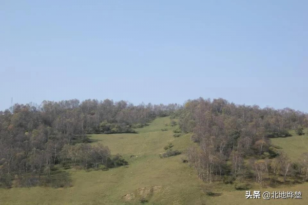 分享一組關山牧場的原生態秋景 分享一組關山牧場的原生態秋景