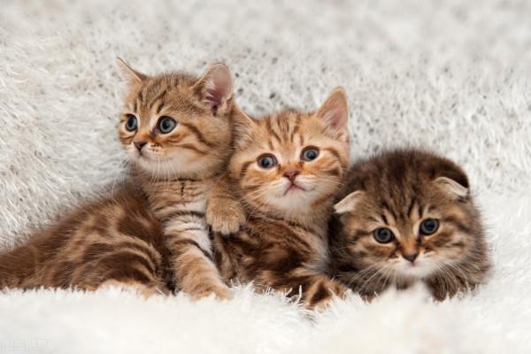 怎麼取出好記有趣又有辨識度的名字?三招教你 怎麼取出好記有趣又有辨識度的名字?三招教你