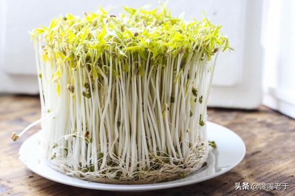 吃火鍋時：切記不要涮“3肉3菜”，老闆：不是同行就是資深吃貨