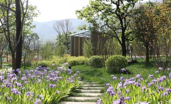 花園範 山水韻 鄉愁味 五彩業 長安抱龍村花園鄉村有了新內涵 花園範 山水韻 鄉愁味 五彩業 長安抱龍村花園鄉村有了新內涵