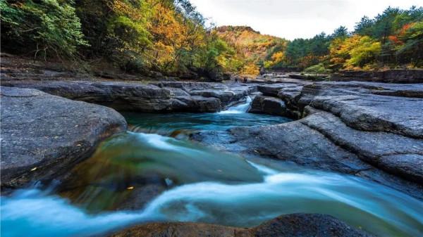 彩林之秋 | 觀山觀水觀紅葉,來旺蒼尋“醉”美秋色~ 彩林之秋 | 觀山觀水觀紅葉,來旺蒼尋“醉”美秋色~