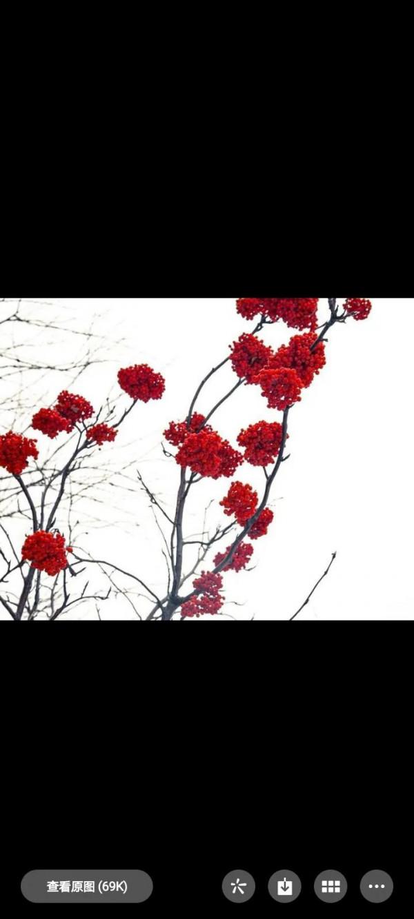 小氣和大方 不同的生活方式 不同的人生選擇 你更欣賞哪一個