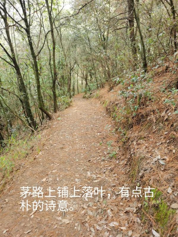 到野鴨湖徒步 到野鴨湖徒步