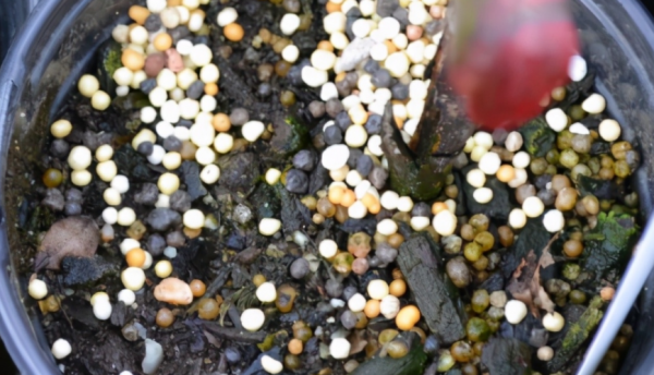 建議園藝新人:用這3種肥養花,萬萬不要弄錯方法 建議園藝新人:用這3種肥養花,萬萬不要弄錯方法