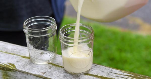 盤點被美國禁止的16種食物，原來這些美食被禁的原因是這個