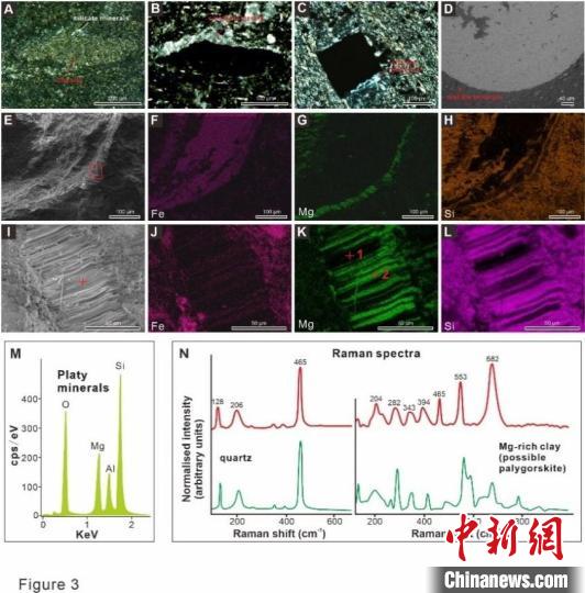 中國科學家發現六億年前丘爾藻特異儲存機制