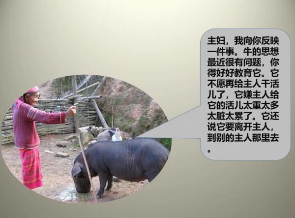 論溝通的重要性，以&OpenCurlyDoubleQuote;牛是怎麼死的&rdquo;來舉例，看懂就成功了一半