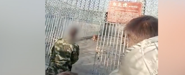 &OpenCurlyDoubleQuote;王濛解說&rdquo;熱搜第一！網友：是真的會笑死 【新聞早七點】