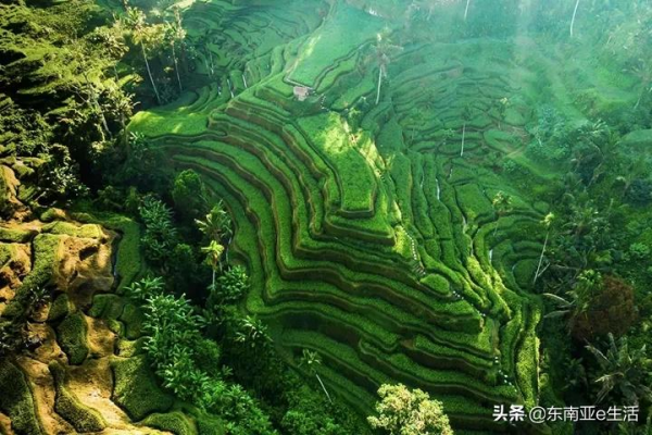 你關心的都在這裡，巴厘島入境政策詳解