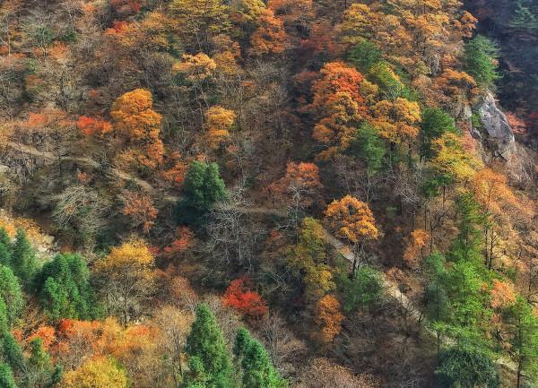 安徽又又又又又紅了 安徽又又又又又紅了