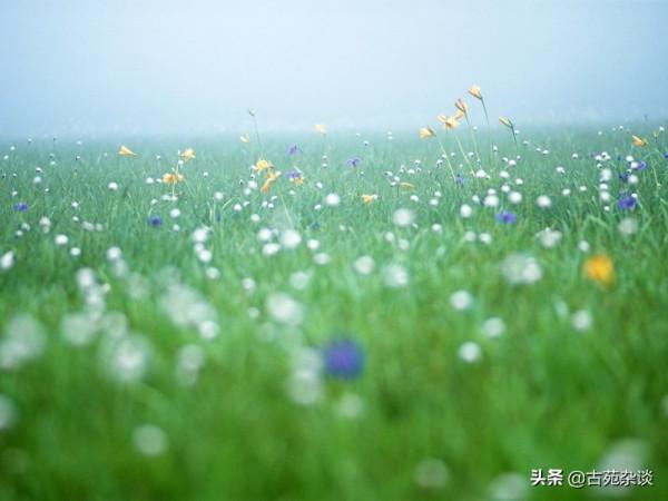 如白話般的1首詞,卻寫出心底真情,值得一讀 如白話般的1首詞,卻寫出心底真情,值得一讀