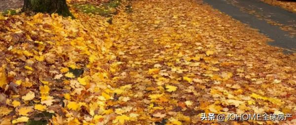 提醒！發生這些情況可向市府索賠，溫哥華5年賠了780萬