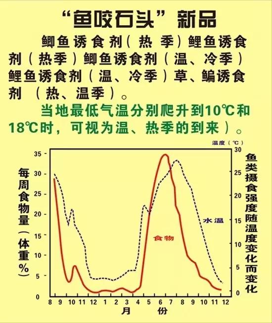 魚咬石頭，痛失的神話①