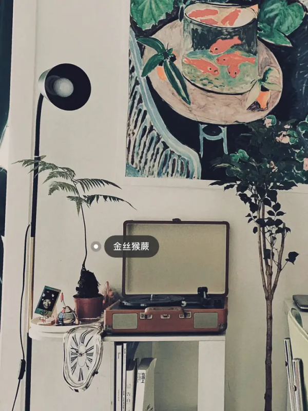 爆改15平的老破小，簡直是讓房屋重生