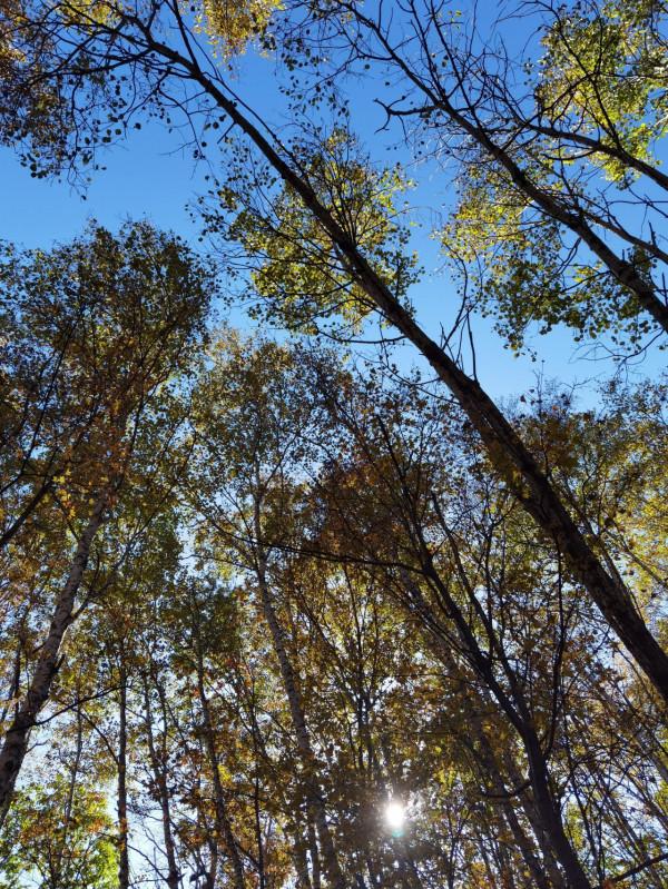 喇叭溝門——秋季賞楓賞白樺 喇叭溝門——秋季賞楓賞白樺