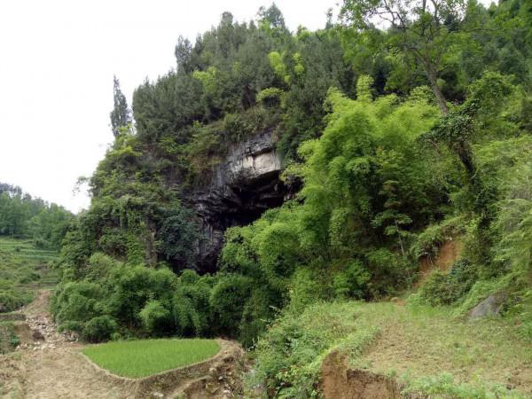 日本投降後，農民打獵發現日軍藏匿的軍火，這批軍火何去何從？