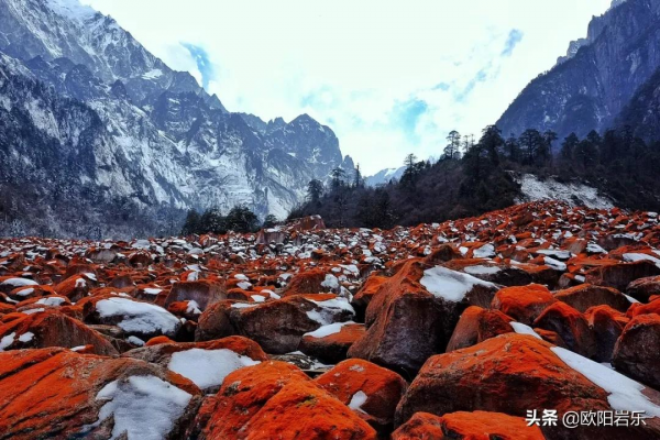 這20個地方藏著中國最美的冬天，2021最後一個月，錯過再等一年