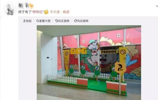 國外商場專門設立了“停狗場”,再也不用擔心帶狗狗不能逛商場了 國外商場專門設立了“停狗場”,再也不用擔心帶狗狗不能逛商場了