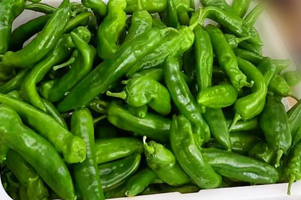 繽紛花海，果蔬採摘，房車露營......中秋出遊就來羊昌！