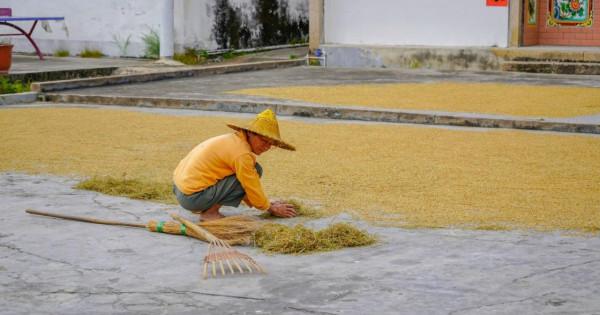 潮州潮安,哪些景點必須打卡?這裡看過來 潮州潮安,哪些景點必須打卡?這裡看過來