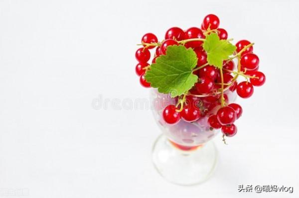 按克賣的網紅水果——紅醋栗，聽名字就很酸，最高價卻賣到近百元