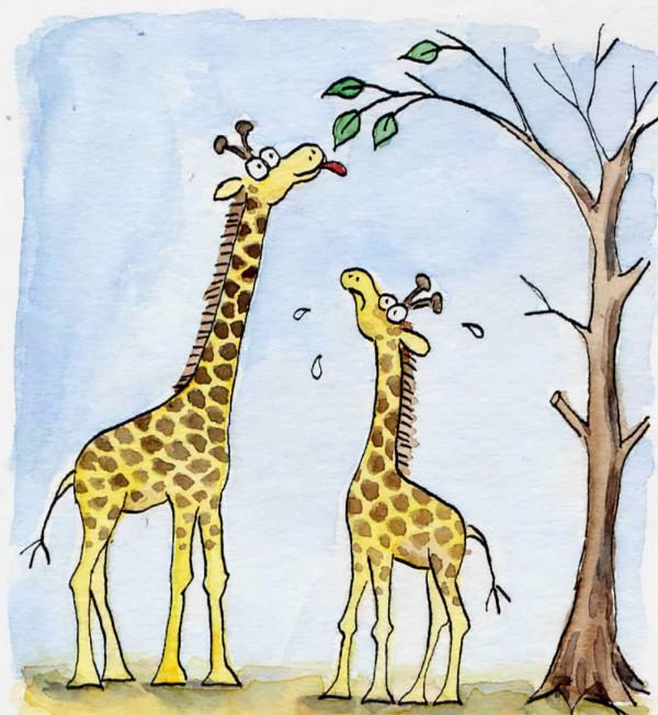 有這種可能嗎？人類不斷地揮動雙手，在100萬年後進化出翅膀