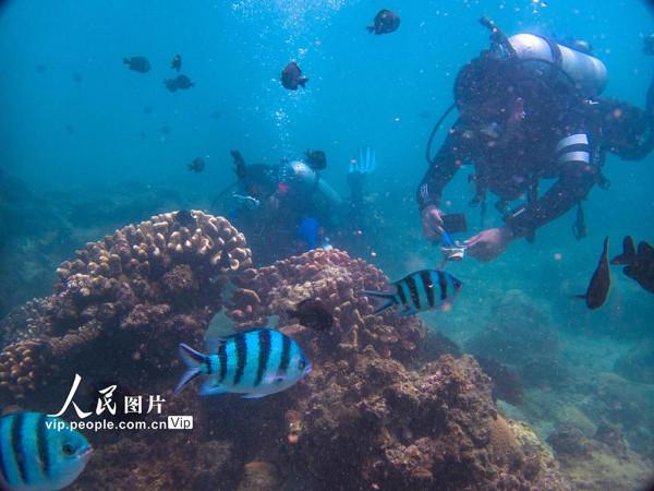 海南陵水：暢遊海底世界