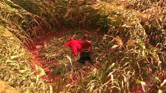 那一片片的高粱地裡,有著農村人的很多秘密,你想知道嗎 那一片片的高粱地裡,有著農村人的很多秘密,你想知道嗎