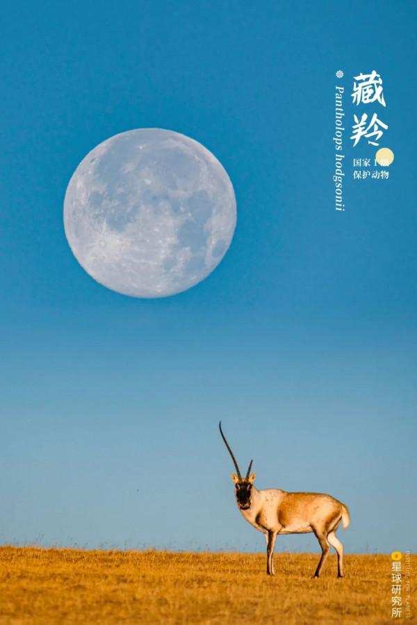 出發！看中國五大國家公園