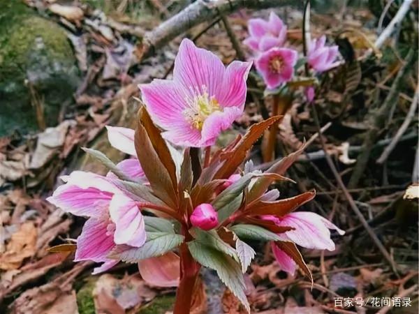 這10個道理，過了40歲之後才懂，你懂了幾個？