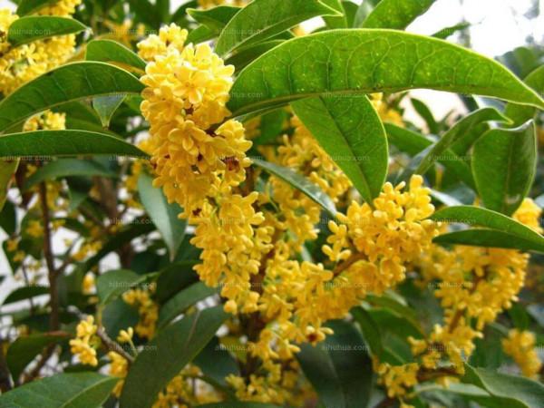 今日秋分《秋分歌》