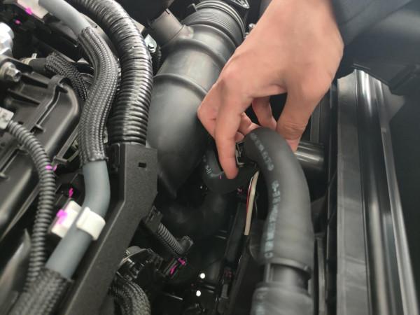 到店實拍豐田賽那，北美銷量神話，在中國難成爆款