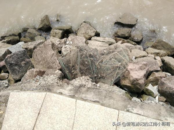 沿著岸邊的步道，貼近廣闊的自然水域，開始在海鷗島上的環島騎行