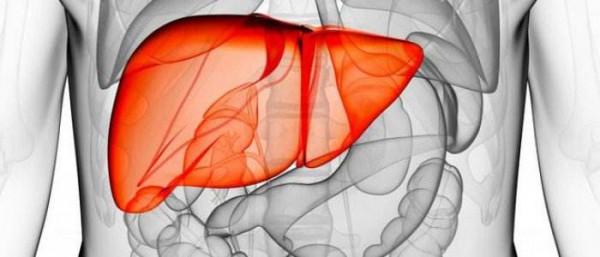 肝血不足如何調理？中醫教你4種方法來調理，滋補肝血