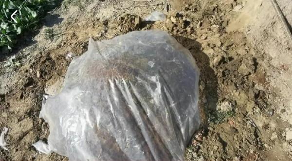 別再把榨油的油餅賣了,油餅可是最好的有機肥,肥效比雞糞還好 別再把榨油的油餅賣了,油餅可是最好的有機肥,肥效比雞糞還好