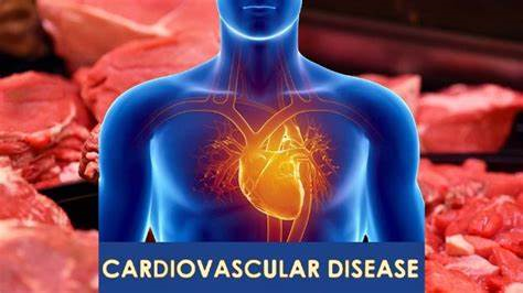 紅肉如何增加心血管疾病風險？跟你想象的大不一樣