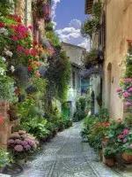 106張照片，美到眼睛移不開