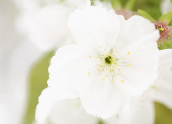 未來十天,4個星座,身兼重任,為家奮進,憑努力博取幸福 未來十天,4個星座,身兼重任,為家奮進,憑努力博取幸福