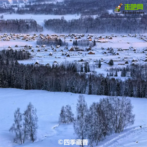 1028名日本人報名遊新疆？新疆顏值實錘了，一年四季，美麗不停歇