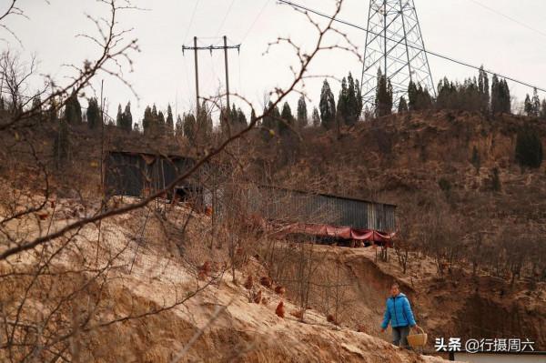 農民大姐把山雞養成怪雞,言說下蛋是彩蛋,供不應求 農民大姐把山雞養成怪雞,言說下蛋是彩蛋,供不應求