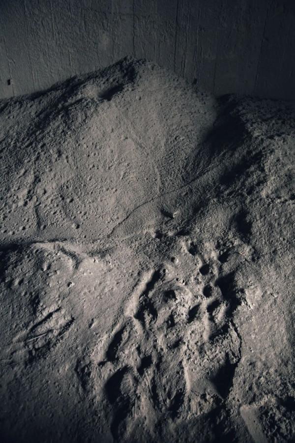 與蔚來一起,向過去尋找答案 與蔚來一起,向過去尋找答案