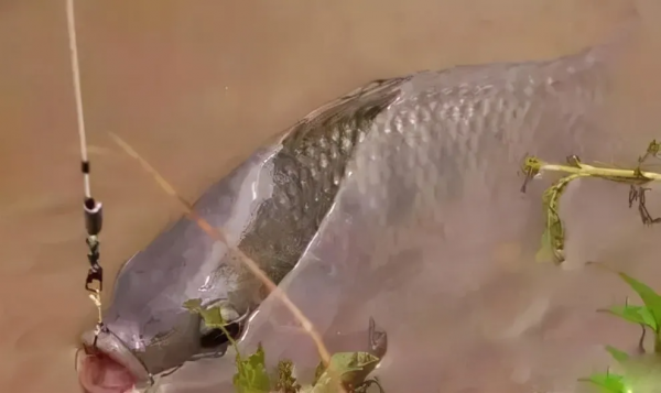 調漂合不合適？這兩個技巧可以驗證