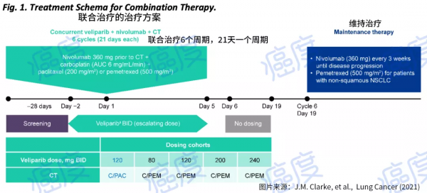 三管齊下治肺癌:PARP靶向藥+ PD-1抑制劑+化療,有效率創新高 三管齊下治肺癌:PARP靶向藥+ PD-1抑制劑+化療,有效率創新高
