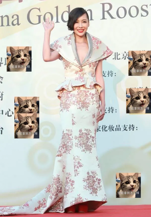 這些年,出現在金雞百花紅毯上的“妖魔鬼怪”,雷到我起不出標題 這些年,出現在金雞百花紅毯上的“妖魔鬼怪”,雷到我起不出標題